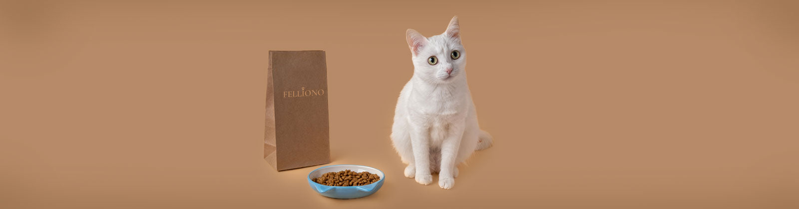 Katzenfutter (Nass & Trocken) bei Felliono