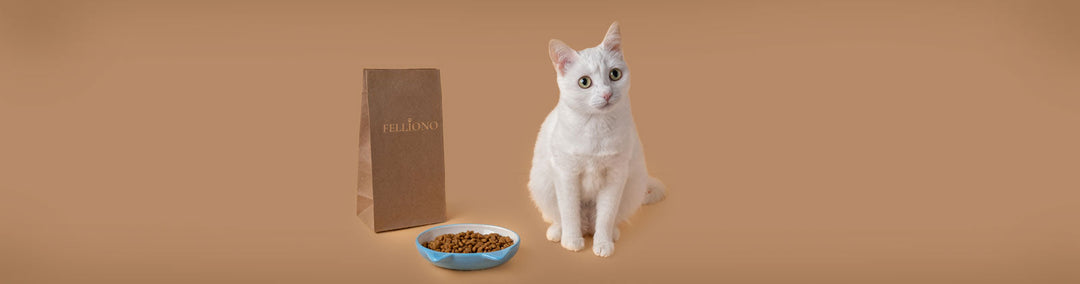 Katzenfutter (Nass & Trocken) bei Felliono