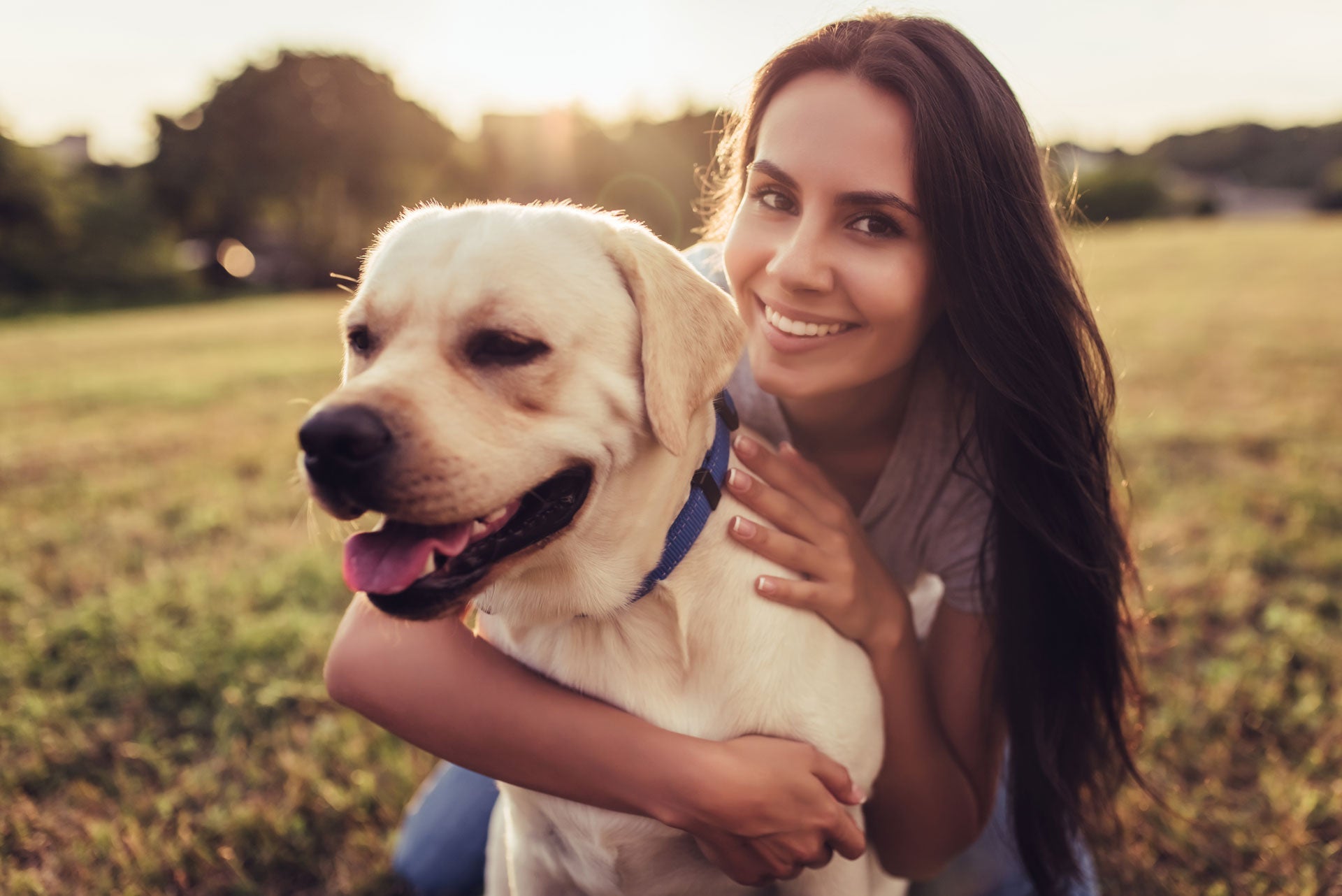 Hunde
