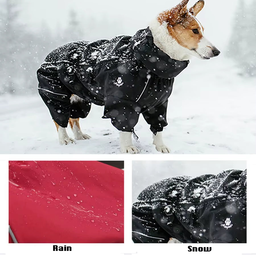 Felliono® Outdoor-Winteroverall für Hunde – wasserdicht & reflektierend